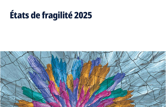 Contribution du g7+ aux États de fragilité 2025